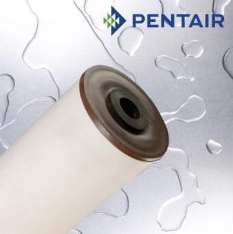 PENTAIR Iron Reduction Filter 10