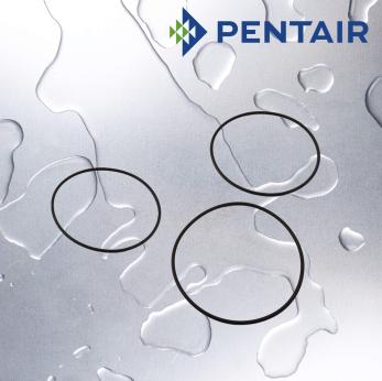 Pentek EPDM O Ring Replacements for Pentair Big Blue Housing